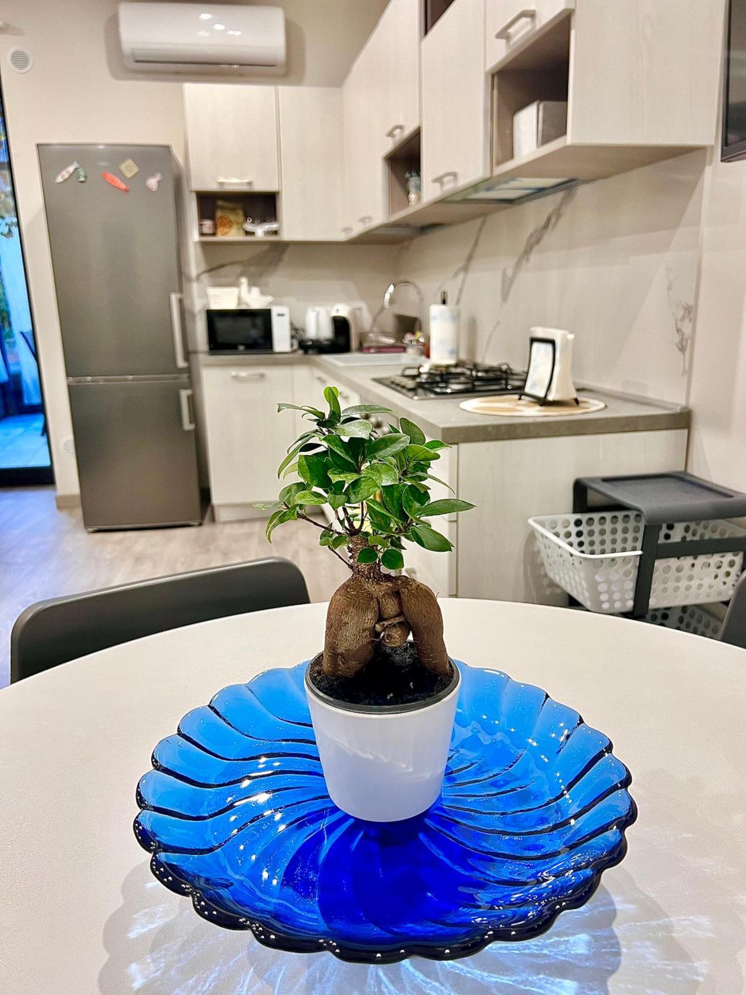 La Casa Di Gio - Free Space N26 尼科洛西 外观 照片